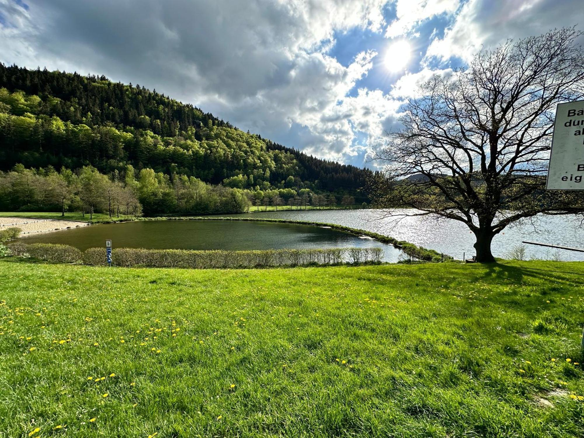 Appartamento Fuchsbau Winterberg Esterno foto